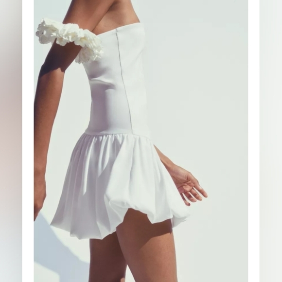 Zara Balloon Skirt Dress - Picture 5 of 6